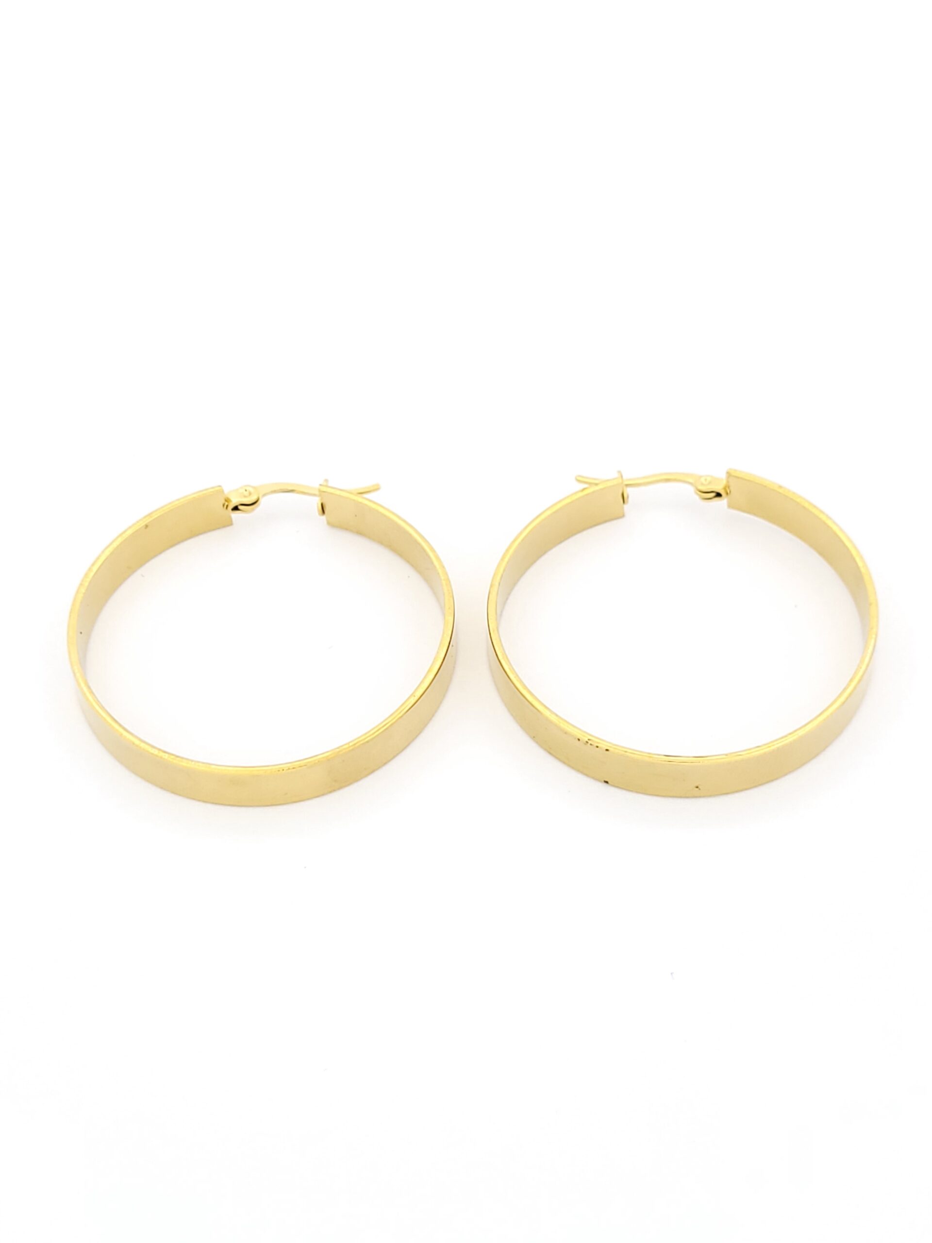 Ατσάλινα Επιχρυσωμένα Σκουλαρίκια Κρίκοι Puppis κωδ.PUW91187G