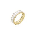 Ατσάλινο Γυναικείο Επιχρυσωμένο Δαχτυλίδι Ολόβερο Puppis Με Λευκά Ζιργκόν κωδ.PUR12675G